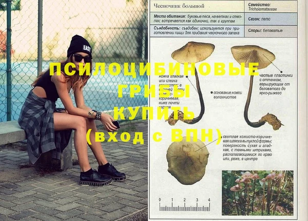 jwh Нефтекумск