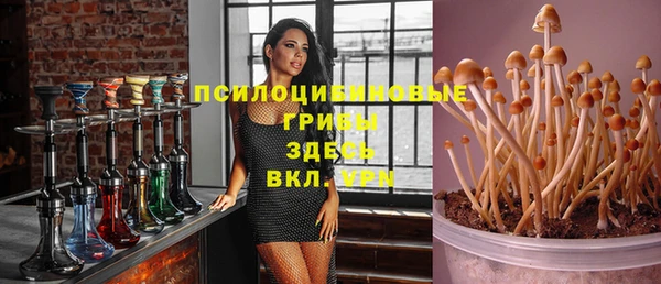 хмурый Наволоки