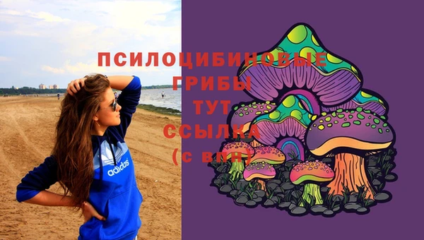 не бодяженный Нефтегорск