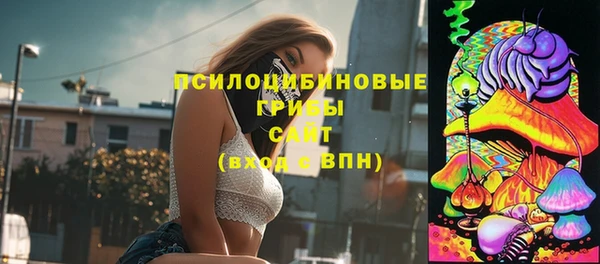 не бодяженный Нефтегорск