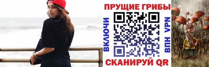 kraken ONION  Родники  Псилоцибиновые грибы ЛСД  сколько стоит 