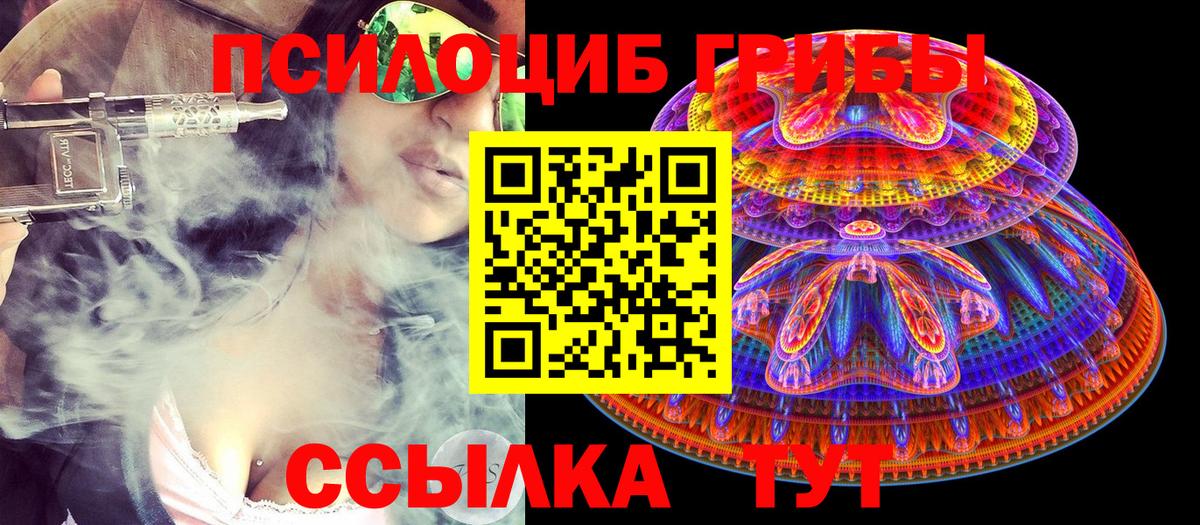 Родники  Галлюциногенные грибы Psilocybine cubensis  Вход с VPN  Псилоцибиновые грибы Psilocybine cubensis 
