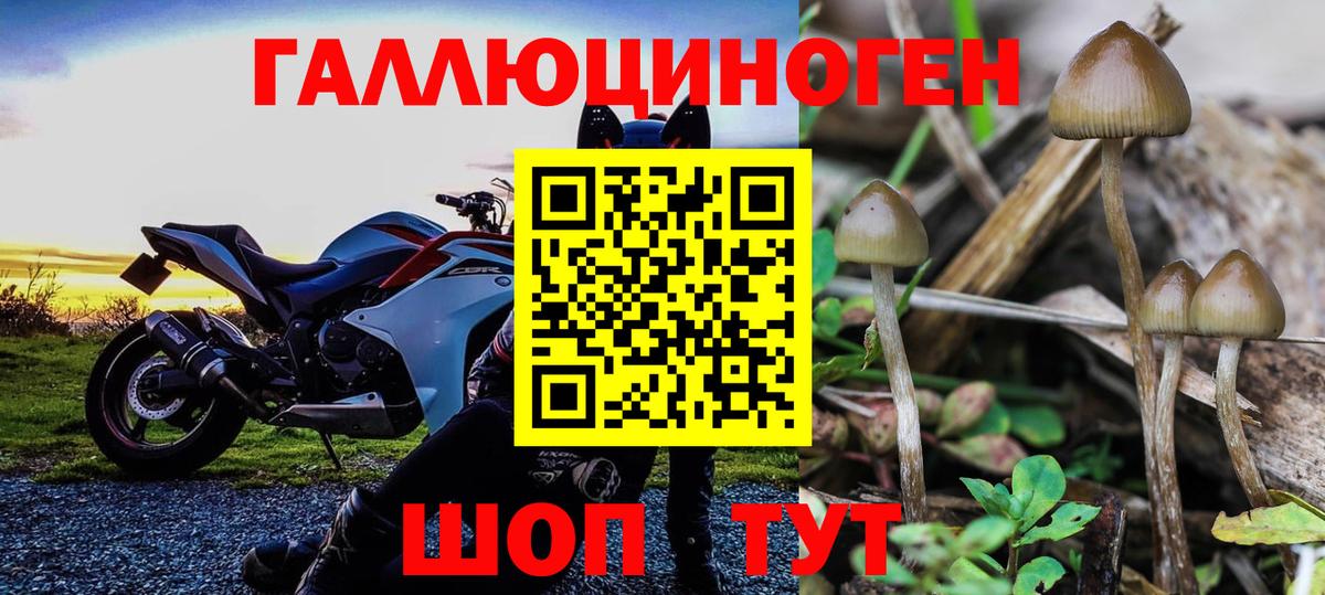 Псилоцибиновые грибы ЛСД Родники