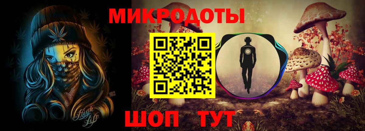 Псилоцибиновые грибы Psilocybe  Родники  купить наркотик  Псилоцибиновые грибы MAGIC MUSHROOMS 